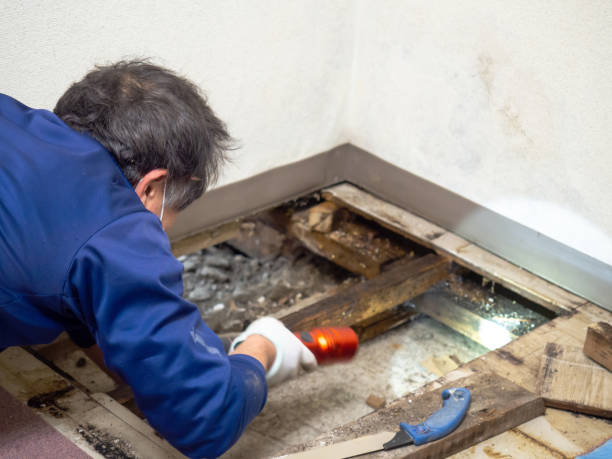 Water Damage Restoration in Augusta, KY